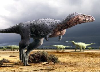 Parque temático “Dino Park Jurásico” abrió sus puertas en Falcón