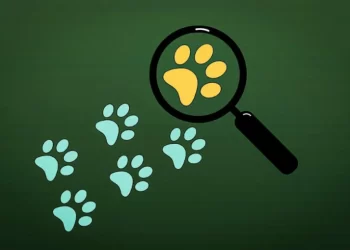 IA: ¿Cómo serían los perros y gatos dentro de diez mil años?