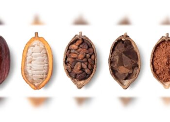 Se realizó Consulta Pública del Cacao en el Sur del Lago