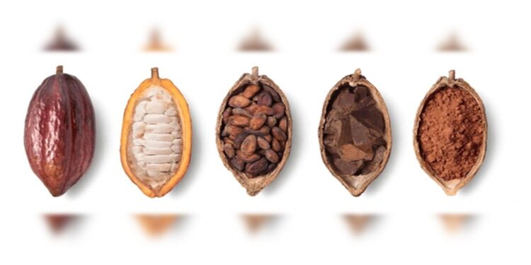 Se realizó Consulta Pública del Cacao en el Sur del Lago