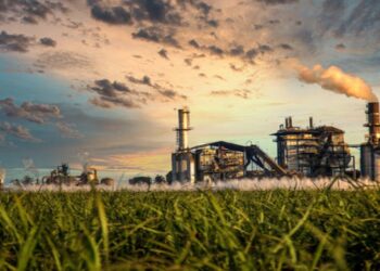 Industria azucarera experimenta un impulso productivo este año || Se espera duplicar cifras