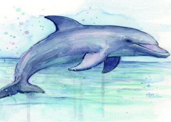 Entérese qué pasó con la manada de delfines varada en Falcón (+Fotos)