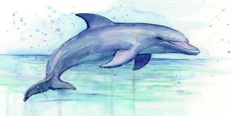 Entérese qué pasó con la manada de delfines varada en Falcón (+Fotos)