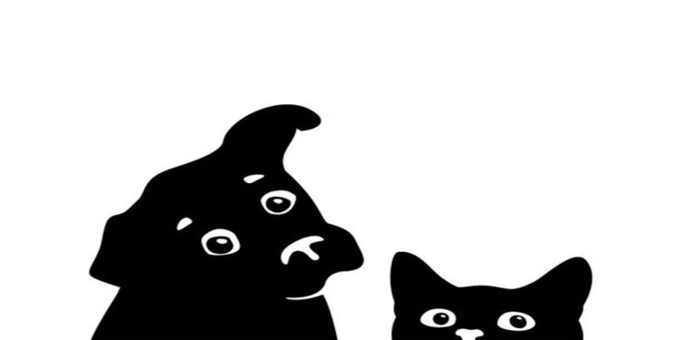 De esta manera las mascotas captaron el sismo en Taiwán (+Videos)