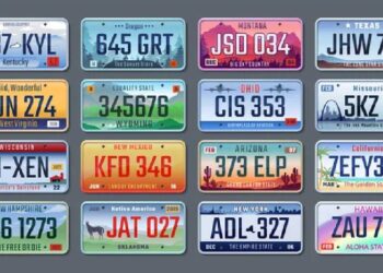 Tránsito Terrestre insta a conductores actualizar placas de letras azules y fondo blanco