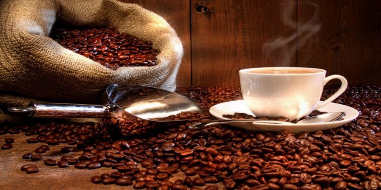 ¡Boconó I! Esta variedad de café es resistente a plagas ¿De qué trata?
