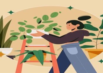 Programa «Viven» se desarrollará en todo el territorio nacional ¡Recuperación de los ecosistemas!