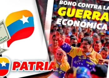 Pagos en el Sistema Patria : Qué bonos están activos este #9Ago (+MONTOS)