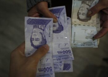 PENDIENTES : Comienzan el pago de dos megabonos en el Sistema Patria (+MONTOS)