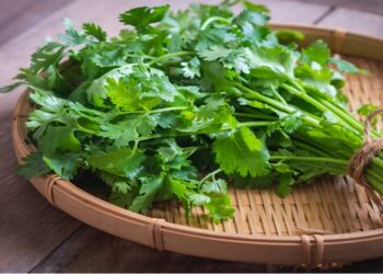 Cabello fortalecido con estas tres yerbas aromáticas