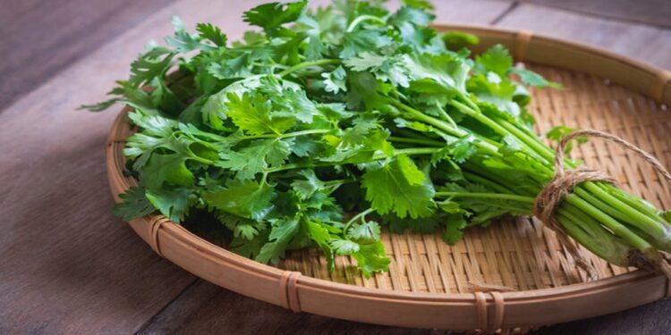 Cabello fortalecido con estas tres yerbas aromáticas