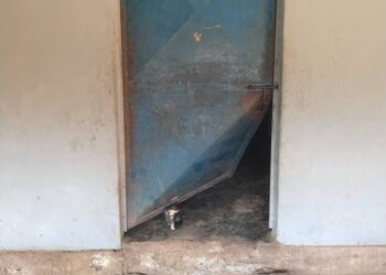 Delincuentes robaron y asesinaron animales en finca del Zulia (+IMÁGENES)