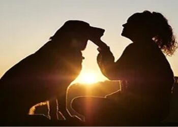 Expo Huellas Fest promoverá la protección y bienestar de los animales de compañía