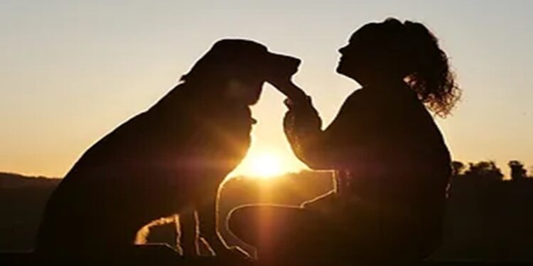 Expo Huellas Fest promoverá la protección y bienestar de los animales de compañía