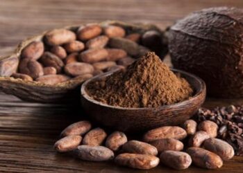 Habla una experta || Conozca sobre el cacao venezolano ¡El mejor del mundo!