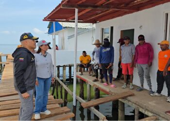 Atención social | Gobierno Bolivariano realiza trabajos de restauración en viviendas y puente de Santa Rosa de Agua