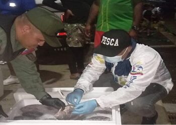Se exportan más de mil 500 kg de productos pesqueros hacia Aruba
