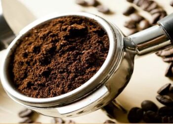 Ganador del Campeonato Nacional de Baristas representará al país en Italia