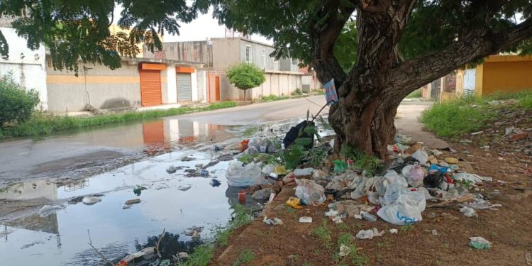 Vecinos de los bloques de Raúl Leoni 2 temen por su salud ante propagación de botes de aguas servidas en la comunidad