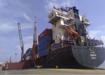 Exportan camarón zuliano a China