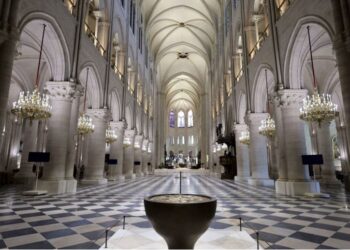 ¡Próximamente abrirá sus puertas! Catedral de Notre Dame está lista (+Videos)
