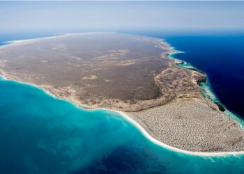 Alí Padrón es el jefe de la ZEE Isla La Tortuga ¡Generar nuevas inversiones!