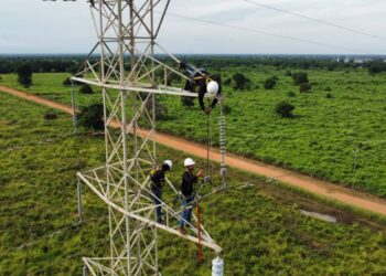 Ejecutan labores preventivas en redes de distribución para fortalecer el servicio eléctrico en Zulia