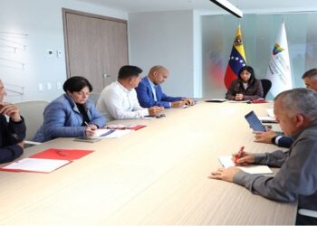 Vicepresidentes Sectoriales evalúan plan de trabajo 2025