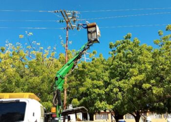 Corpoelec atiende con mantenimiento preventivo al circuito Sabaneta en Zulia