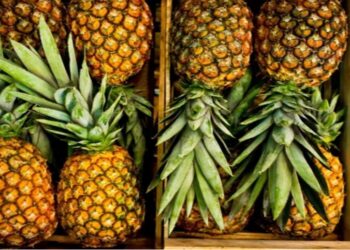 Venezuela exportará piñas a Barbados