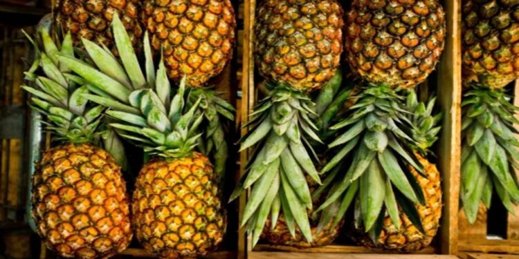 Venezuela exportará piñas a Barbados