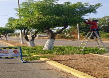 Alcaldía del municipio Santa Rita prepara logística ambiental de cara a festividades carnestolendas