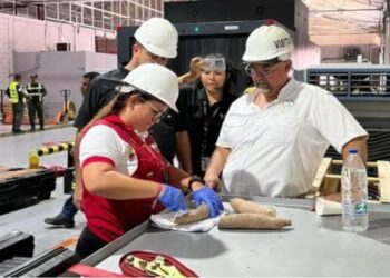 ¡La yuca se convierte en un rubro exportable! Nueve toneladas se envían a España