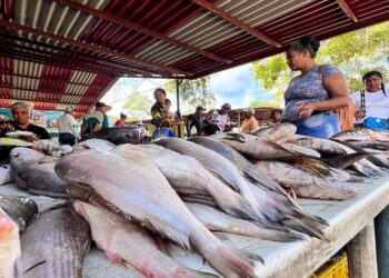 Primera planta fileteadora de pescado de oriente está activa en este estado
