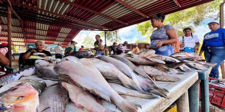 Primera planta fileteadora de pescado de oriente está activa en este estado