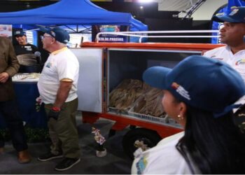 Plan “Venezuela Come Más Pescado” ha distribuido más de cinco millones de proteínas pesqueras en el país