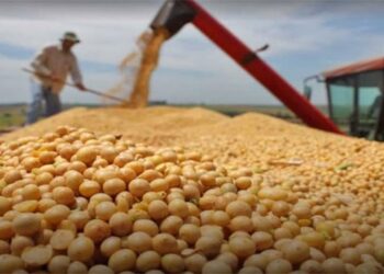 Agenda científica permitirá fortalecer la producción de soya en el país