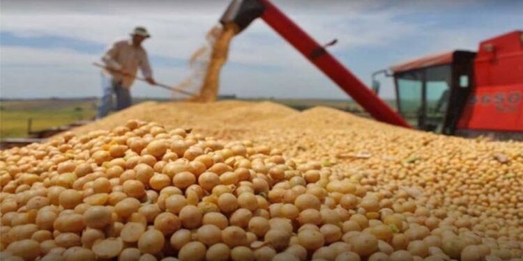 Agenda científica permitirá fortalecer la producción de soya en el país