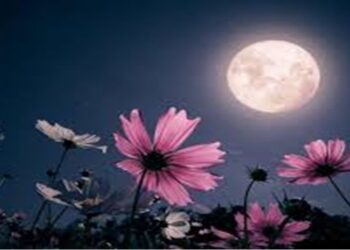 Esto es lo que se sabe de la Luna de las Flores ¡Influencia en el amor y la fertilidad!