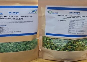 Revisan avances del Plan de Siembra de Maíz Agroecológico