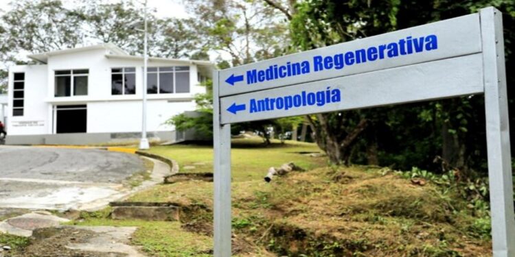 IVIC impulsa estudios en biología de células madre y medicina regenerativas