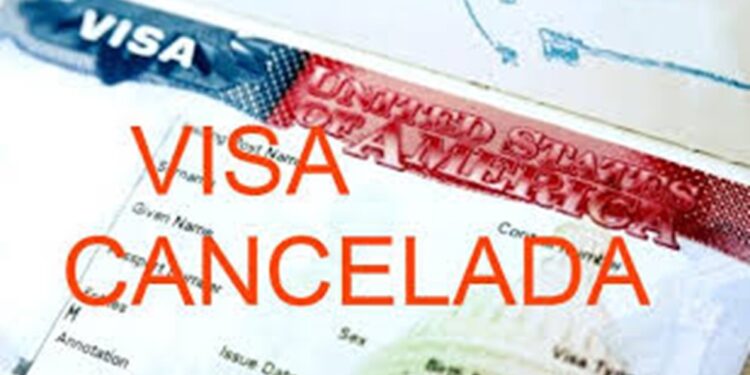 Venezolanos con estos tipos de visa ya no podrán ingresar a Estados Unidos (+Detalles)