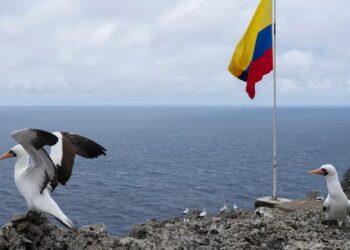 En alerta Colombia ordena evacuar el Pacífico ante posible tsunami