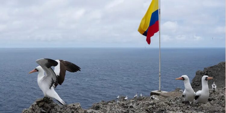 En alerta Colombia ordena evacuar el Pacífico ante posible tsunami