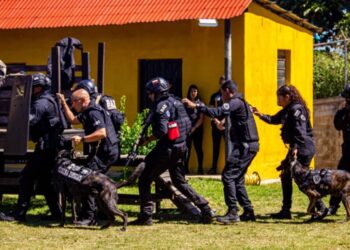 Unidad K 9 de la División de Investigación Contra Drogas del Cicpc está al servicio de la investigación penal
