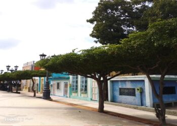 Gobernación del Zulia desarrolla jornadas de limpieza y recuperación de espacios públicos