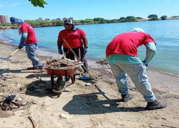Jornada de saneamiento integral se realizó en la Vereda del Lago 2 ¡Promoviendo el ecosocialismo!