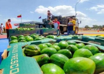 Frutas y hortalizas venezolanas mantienen Islas ABC