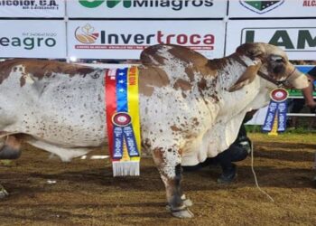 Gobernación Bolivariana reconoce a criadores de las razas más destacadas en Expoferia Ganadera de El Laberinto