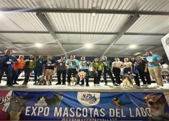 “Expo Mascotas del Lago” busca enseñar a la comunidad sobre el bienestar animal